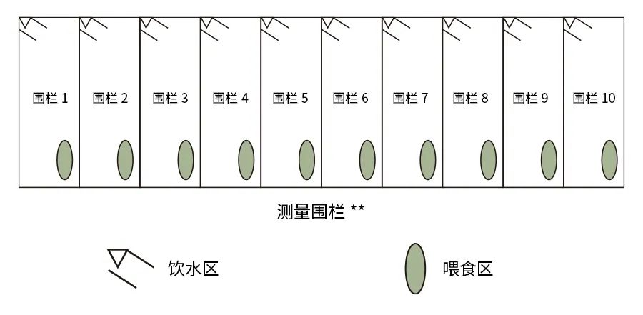 農場動物飼養(yǎng)3.jpg